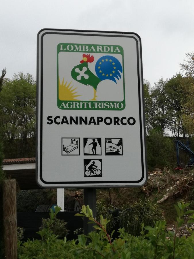 Agriturismo Scannaporco Cavriana Exterior foto